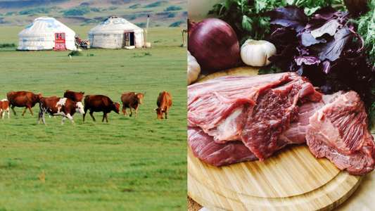 From Our Pasture to Your Plate: How We Raise Healthy Animals