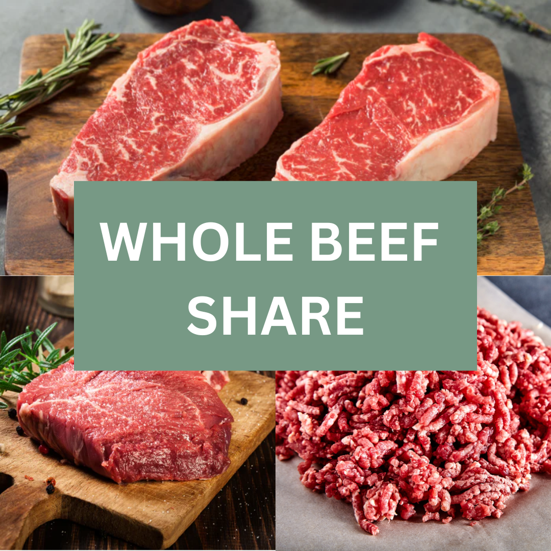 Whole Beef Share (360+ Pounds) - Deposit Only